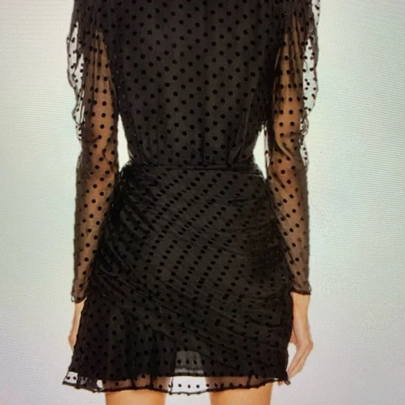 IRO Callagan Asymmetrical Ruffle Silk Mini Dress NWT Size 34, Polka dots - Picture 3 of 10